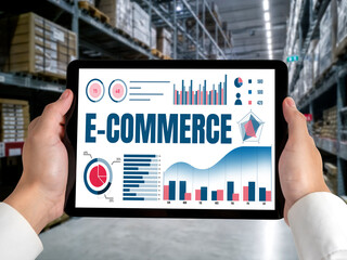 Wall Mural - E-commerce data software provide modish dashboard for sale analysis to the online retail business