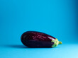 ripe eggplant over blue background