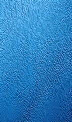 Canvas Print - blue leather texture