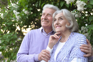 Wall Mural - Portrait of beautiful senior couple by lilacs in the park