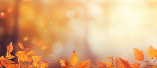 Canvas Print - Copy space image of a vibrant autumn scene with realistic leaves in shades of orange and yellow The blurred background creates a warm and inviting atmosphere perfect for text or a banner It embodies