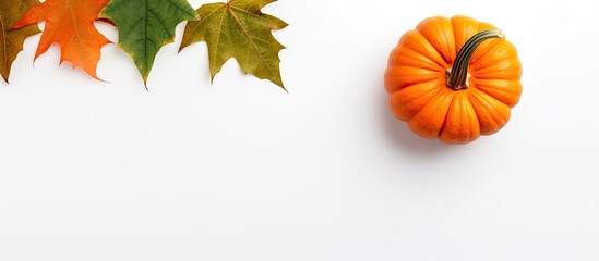Wall Mural - top view copy space image of a pumpkin and leaf creatively arranged on a dual tone white and orange 