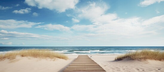 Poster - A wooden boardwalk meanders through the sandy beach providing a scenic route with plenty of copy space image potential