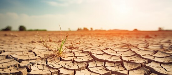 Poster - The parched and cracked land contrasts with the blurred background Copy space image