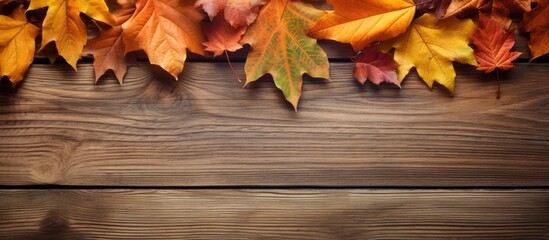 Wall Mural - Copy space image of autumn leaves on a wooden background