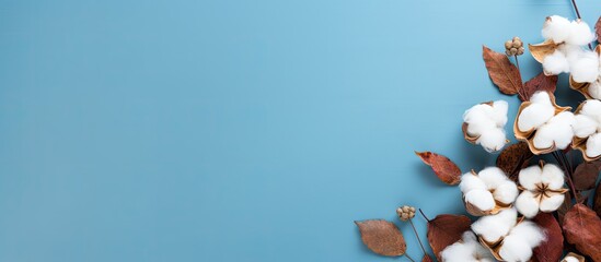 Wall Mural - copy space image of an autumn or winter composition featuring dried leaves and cotton flowers agains
