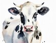 © Monika Janiak-Klicha - Namalowana głowa krowy ilustracja