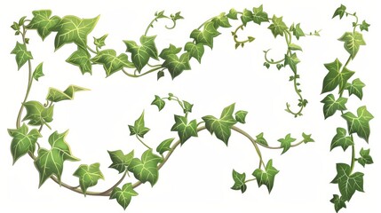 Wall Mural - Plants with green leaves and ivy on corners