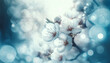 White cherry blossoms with a dreamlike quality. The blossoms are highlighted against a soft, blurred background with light