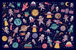 Cute space. Galaxy planets and animal astronauts. Spaceship rocket and art monster. Universe stickers. Aliens UFO and cosmonaut shuttles. Starry cosmos background. Vector icon elements