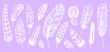 Tribal feather. White hand drawn decorative elements isolated on purple background, different bird plumage, goose or swan or angel plume, lightness symbol, ethnic print, vector illustration