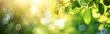 Blurred background of nature with sunlight and green trees Abstract blurred bokeh background with sun rays through leaves in the style of spring or summer time Generative AI
