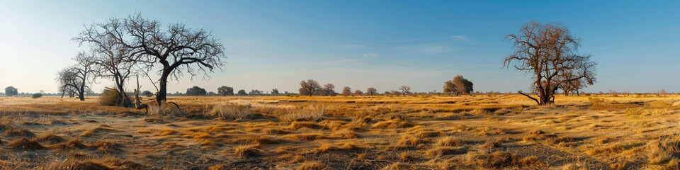 Wall Mural - lush deserted field with dry, empty trees