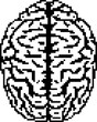 Brain pixel style