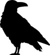 Flat black raven