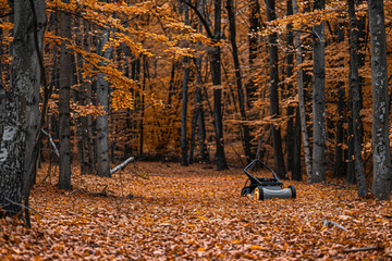 Wall Mural - peaceful autumn woods with a manual lawn mower left aside