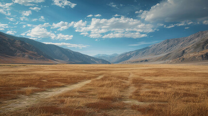 Wall Mural - peaceful deserted field surrounded by mountains