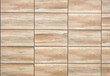 Modern ventilated facade made of ceramic panels with a wood pattern