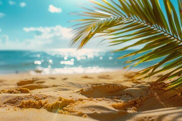 Canvas Print - Palm tree is on beach with ocean in background