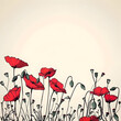 A vibrant background filled with red poppy flowers, symbolizing remembrance and natural beauty. Suitable for memorial day events, floral arrangements, and outdoor-themed designs.