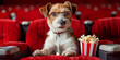 Dog watching movie with popcorn sitting in armchair