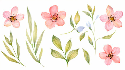 Wall Mural - set of flowers