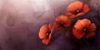 Anzac Day Tribute: Digital Design Featuring Red Poppy Flowers on Purple Background. Concept Anzac Day Tribute, Digital Design, Red Poppy Flowers, Purple Background, Veterans Remembrance