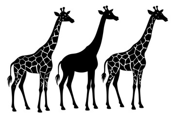 Wall Mural -  giraffe line art silhouette illustration