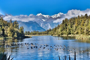 Wall Mural - New Zealand