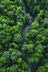 Wall Mural - river in the forest aerial view Generative AI