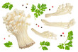 Enoki mushroom, Golden needle mushroom isolated in white background with  full depth of field.