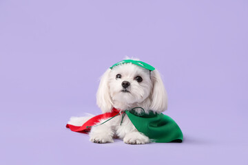 Wall Mural - Cute little dog in superhero costume lying on lilac background