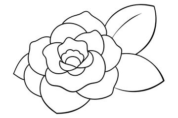 Wall Mural - camellia flower vector illustration