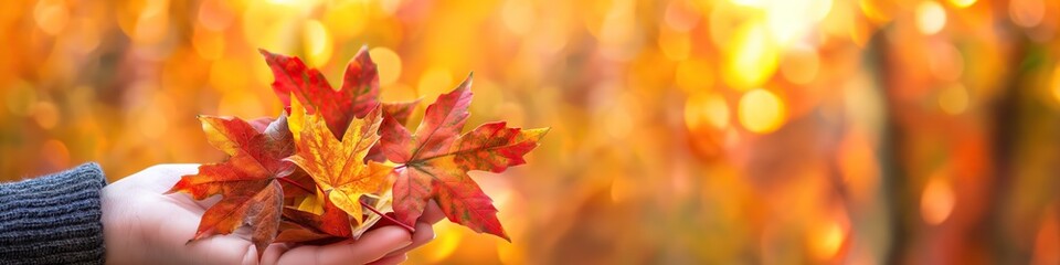 Poster - a hand holding a boquet of autumn leaves,