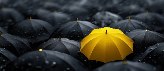umbrella and rain, protection