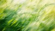 Blurred the grass for abstract background