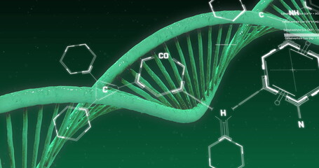 Canvas Print - Image of chemical structures over dna strand spinning on green background