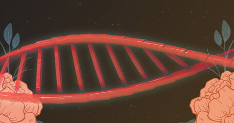 Wall Mural - Image of dna over roses on black background