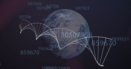Wall Mural - Image of dna over globe and numbers on black background