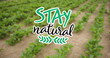 Image of stay natural text over plants