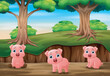 Three little pig playing in jungle