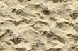 Grainy and Rough Sand Pattern with a Seamless and Textured Appeal