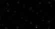 Image of confetti falling and circles pattern moving on black background