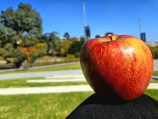 red apple on a green grass