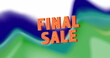 Image of final sale over white, blue and green blurred background
