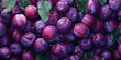 Plums seeds and leaves as fruit background pattern autumn flat lay .
