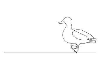 Continuous one line drawing of duck. Isolated on white background vector illustration 