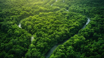 Wall Mural - From an aerial view, a lush green forest with a river and hills stretches below. Aesthetic landscape. Generative AI