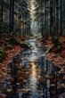 © Cary - stream forest leaves ground reflections designer stunning drawing large format