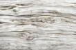 © AI Creator - Sunbleached driftwood texture with pale hues and worn smoothness.